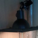 신기부화장 이미지