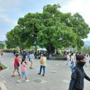 날마다장날 이미지