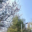 오늘의 하루 | 오늘 하루의 후기,,