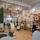 고양이다락방 | 부산 아이랑 가볼만한곳! 이색데이트 이색카페 고양이카페 체험 후기 | 고양이다락방 부산 남포점 !!!