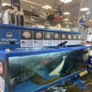 대해수산 이미지