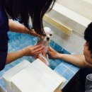 몽이네 애견샵 이미지