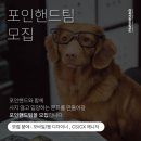 포인디자인
