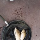 백달낚시터 이미지