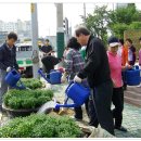 방화1동 이미지