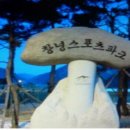 창녕스포츠파크 체육관 이미지