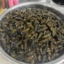서오지리 | 화천 서오지리 나만 알고 싶은 장소 콧구멍다리 다슬기잡기