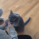 수연축사 | 25년 4분기 결산