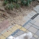 헤이도그청주점