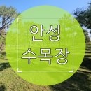 해송목장 | 안성 수목장 자연형 단지 구성과 선호 이유