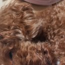 하늘마을로93번길 이미지