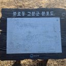 불로고분 주차장 내 | 대구 여행 불로동 고분군 산책 주차장 불로고분 나홀로나무