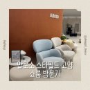 엘머하우스 | 알로소 매장 스타필드 고양점 쇼룸 방문기