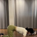 상수오아시스약국 이미지