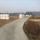 노진5리 경로당 | 화성시 토지(답) 경매, 장안면 노진리 토지(답) 경매