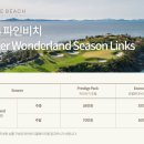 파인비치 - 영덕군 동해대로 4096 | 파인비치