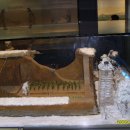 서대문역(5) 이미지