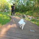 창포곶펜션 이미지