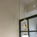 옹심이네살롱 이미지