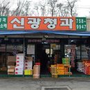 신광청과