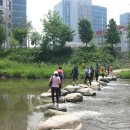 6월1일 안양,의왕 삼남길 주최: 손성일대장님 이미지