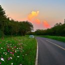 큐코리아 이미지