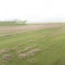 천년의 정원 이미지