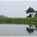 파인힐스컨트리클럽 이미지