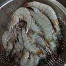 디씨유통