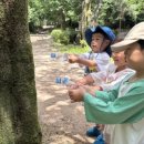 대청유치원 이미지