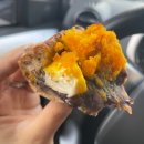 신당1로7길~신당3로3길 | 3월 일상 ㅣ보문 나들이 운치,페페이즈굿, 신당 앤드위치