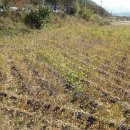 엄정면사무소 이미지