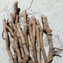 송담1로 이미지