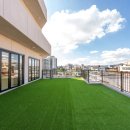 플레이멍 광주애견유치원&애견호텔 이미지