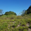 탄금산업 이미지