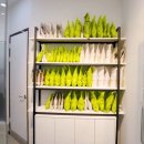 닥터파크한의원 이미지