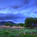 우포늪 자전거 대여소 이미지