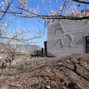 도무스(Domus) 이미지