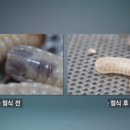 굼찬농장 이미지