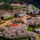 광주숯가마 이미지