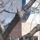 동평여자중학교 이미지