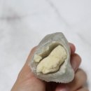떡에담은정