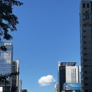 미인빵 | 더메나쥬리 미인빵 vs 하얀풍차제과점 화이트롤 비교후기