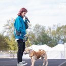 댕버랜드 이미지