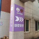 동글하개 | 강아지미용실 동글하개, 양산강아지 반려동물미용 맛집