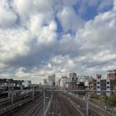 하조대 회전교차로 주변길 | 도쿄 후기 (신주쿠, 스시로, 아키하바라, 긴자웨스트...아이보리쉬, 스크램블 교차로, 시부야 스카이)