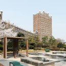 광주대학교