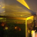 ........................................ 이미지