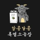 알콩달콩 흑염소 농장 이미지