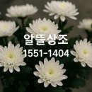 양평장례식장 알뜰 상조 이용 더 포레 납골당 안치까지 마치며